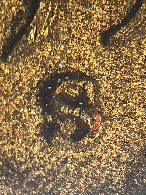 Lincoln-Cents-1950-S-S-Over-S?